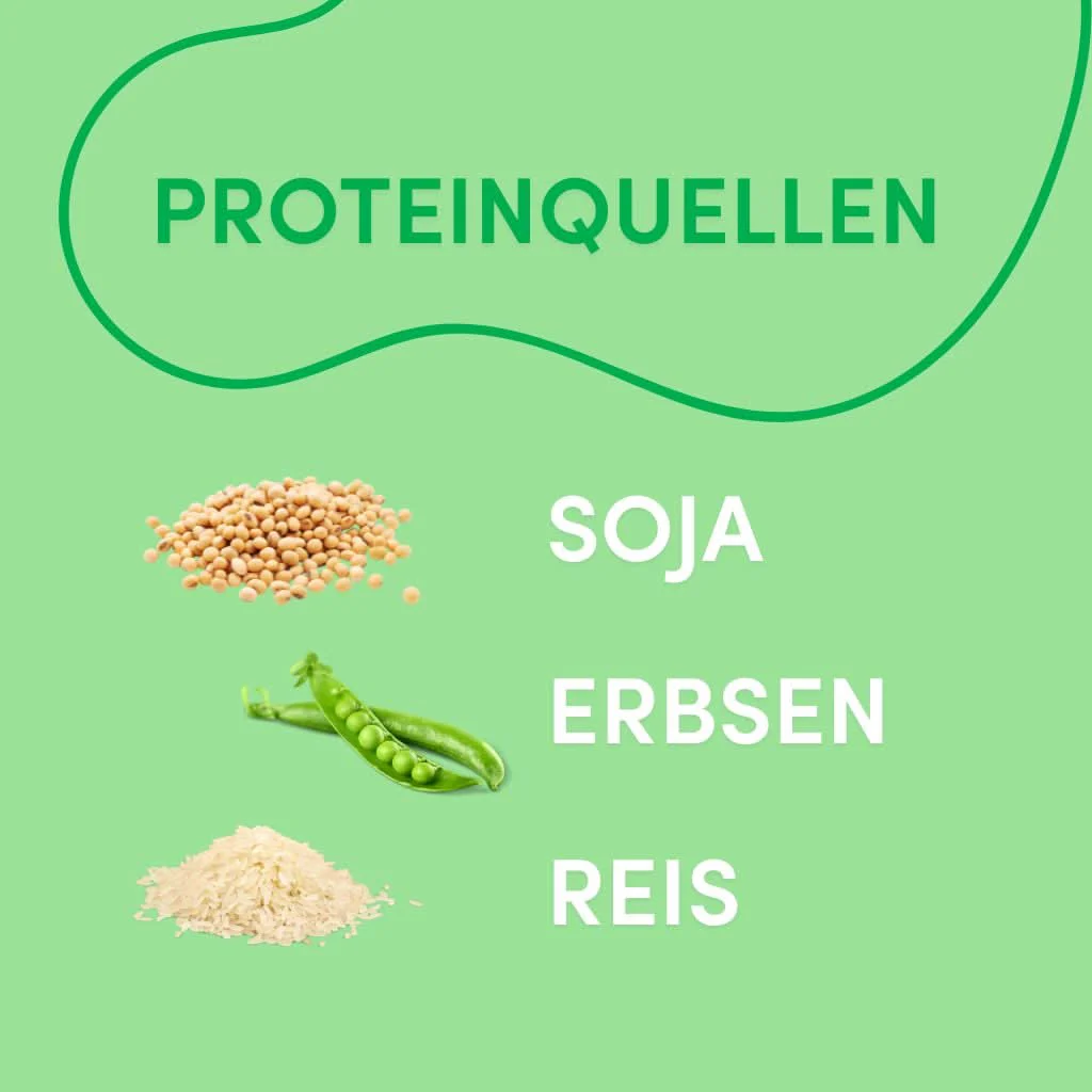 Vegan Vanille Protein Shake (420g) High Proteinpulver, 100% Vegan - Image 4